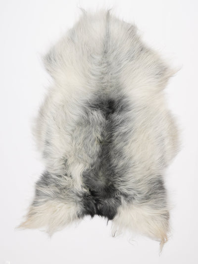 Islannin lampaantalja XL