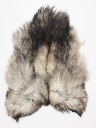 Harmaa islannin lampaantalja XL