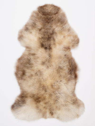 Monivärinen lampaantalja L