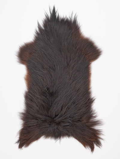 Islannin lampaantalja XL