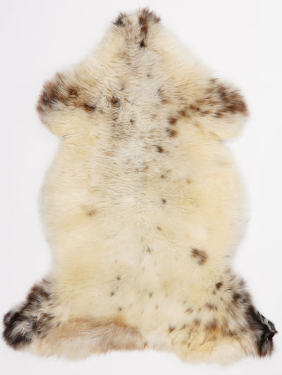 Monivärinen lampaantalja L