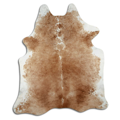 Shamppanja lehmäntalja L