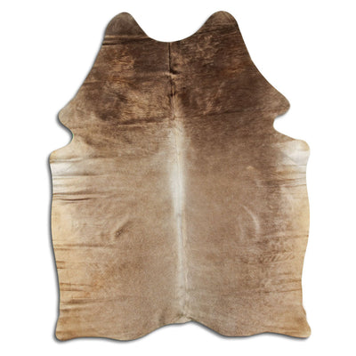 Shamppanja lehmäntalja M