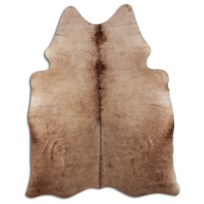 Shamppanja lehmäntalja M