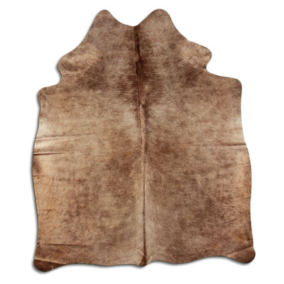 Shamppanja lehmäntalja M