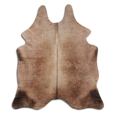 Shamppanja lehmäntalja L