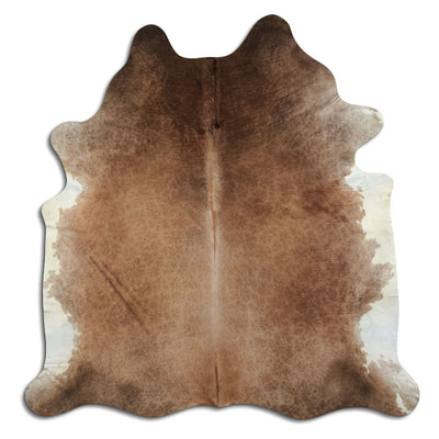 Shamppanja lehmäntalja XL