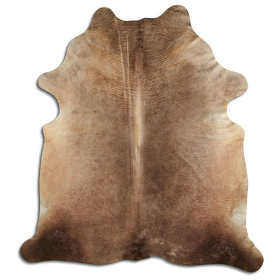 Shamppanja lehmäntalja XXL