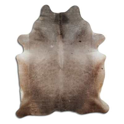 Shamppanja lehmäntalja XL