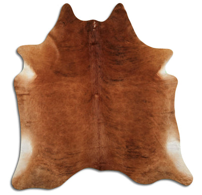 Eksoottinen lehmäntalja L