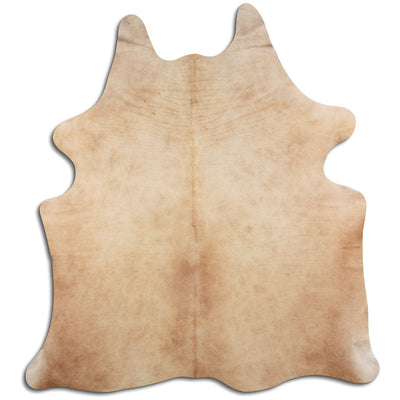 Shamppanja lehmäntalja L