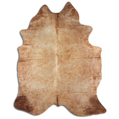 Shamppanja lehmäntalja XXL