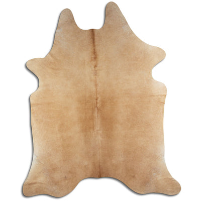 Shamppanja lehmäntalja XXL