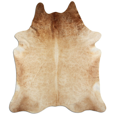 Shamppanja lehmäntalja XXL