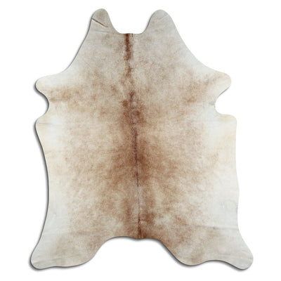 Shamppanja lehmäntalja L