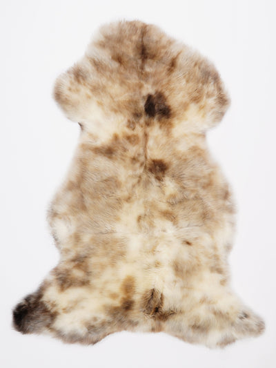 Monivärinen lampaantalja L