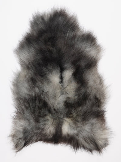 Harmaa islannin lampaantalja L