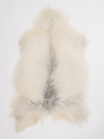 Islannin lampaantalja L