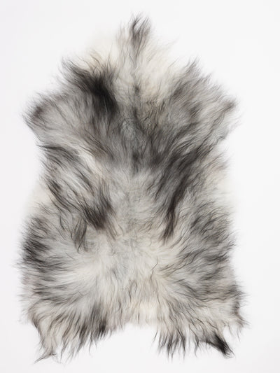 Harmaa islannin lampaantalja XL