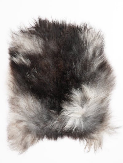 Harmaa islannin lampaantalja M