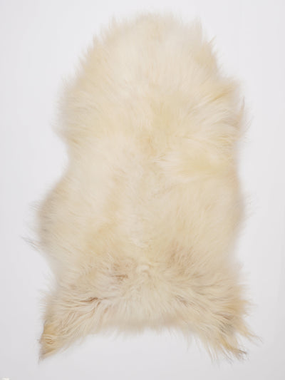 Islannin lampaantalja XL