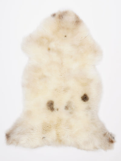 Monivärinen lampaantalja L