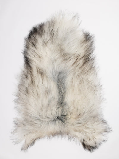 Islannin lampaantalja XXL