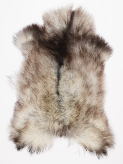 Harmaa islannin lampaantalja XL