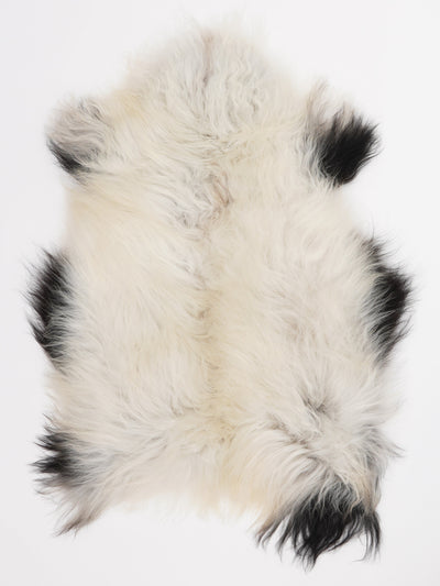 Islannin lampaantalja M