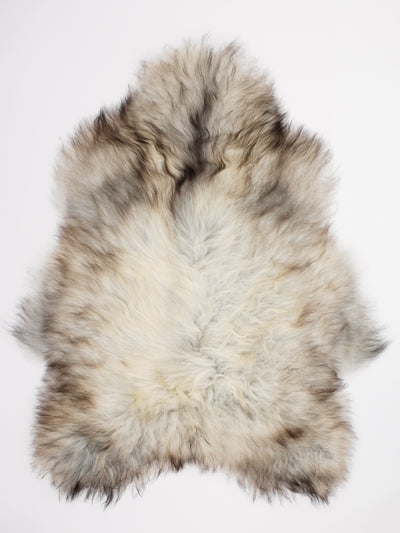 Harmaa islannin lampaantalja XL