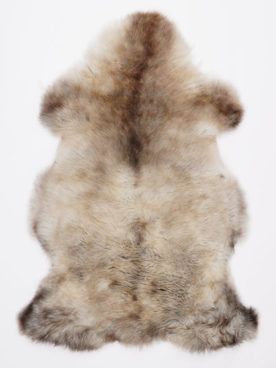 Monivärinen lampaantalja L