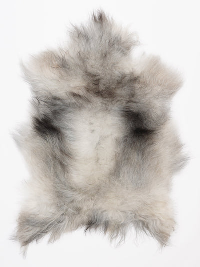 Islannin lampaantalja M