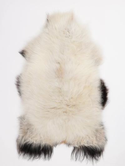 Islannin lampaantalja L