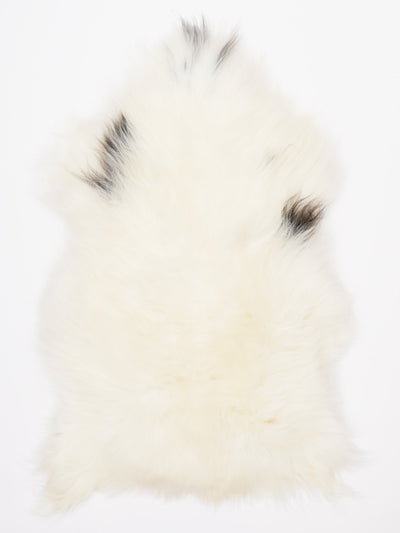 Islannin lampaantalja L