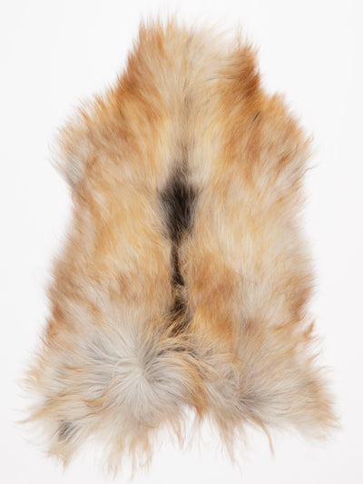 Islannin lampaantalja L