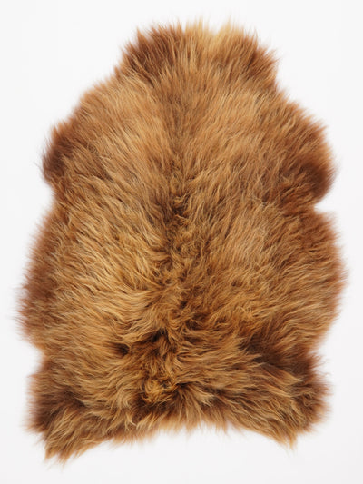 B-luokan Islannin lampaantalja L