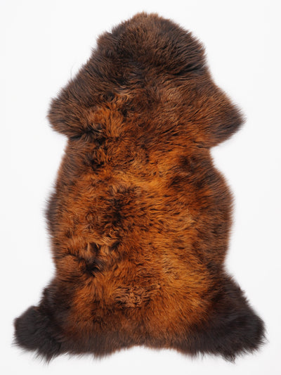 "Rusty" Monivärinen lampaantalja L