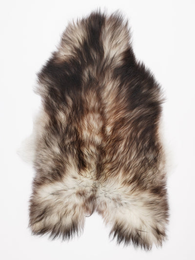 Harmaa islannin lampaantalja XL