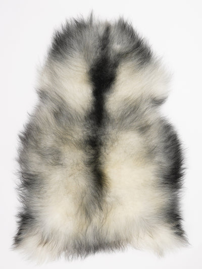 Harmaa islannin lampaantalja XL