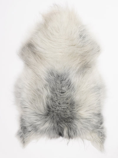 Islannin lampaantalja XL