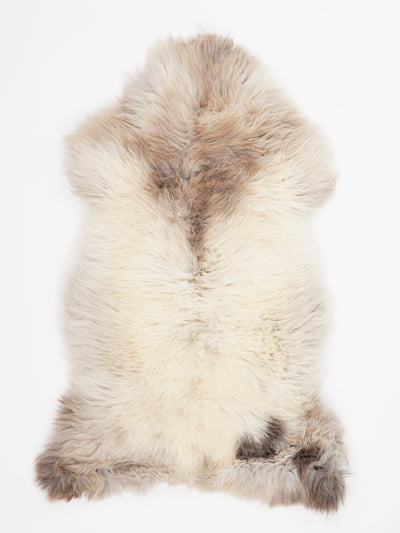 Monivärinen lampaantalja XL