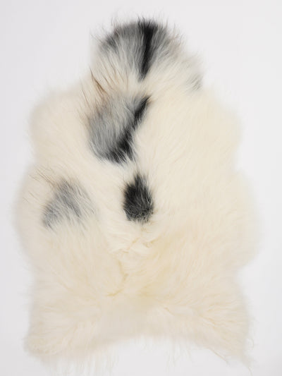 Islannin lampaantalja L