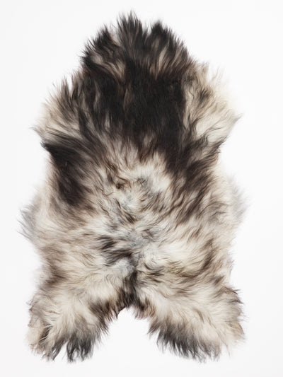 Harmaa islannin lampaantalja XL