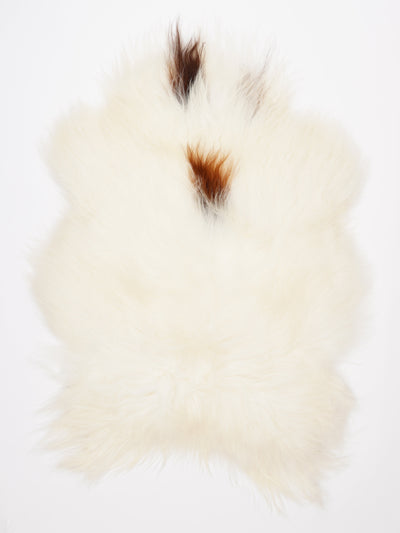 Islannin lampaantalja XL