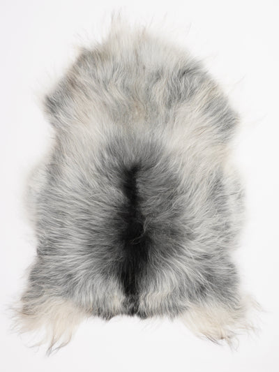 Harmaa islannin lampaantalja XL