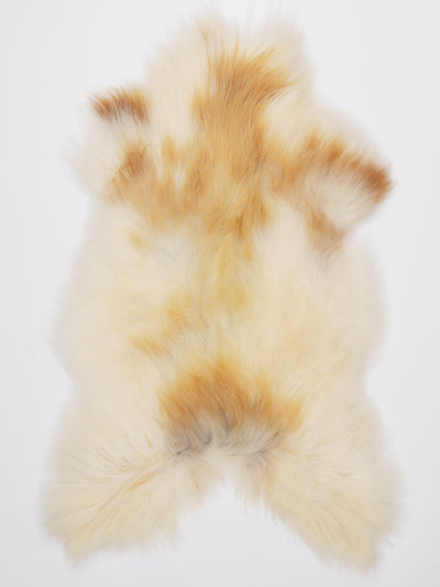 Islannin lampaantalja XL