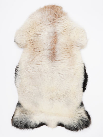 Monivärinen lampaantalja XL