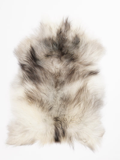 Islannin lampaantalja L