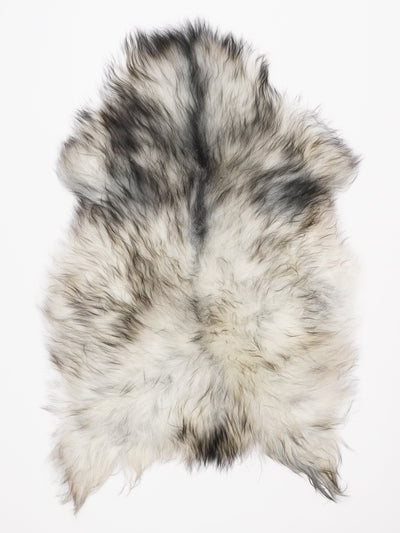 Islannin lampaantalja L