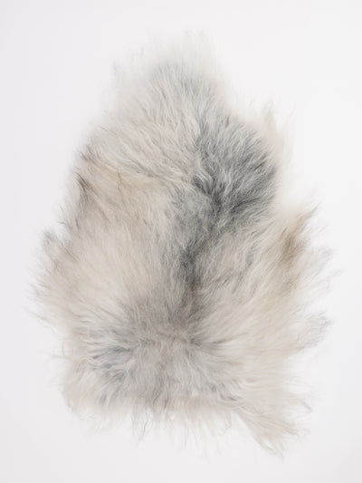 Islannin lampaantalja L